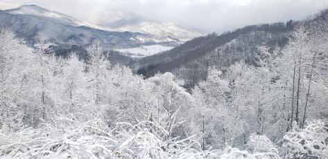 (Tim and Freda Carney • Clay County Progress) This chilled view from Shiloh Overlook looks more like a picture from Alaska than western North Carolina. 