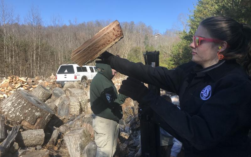 (AmeriCorps River 2 team • Photo submitted) AmeriCorps teammember Avery Scully throws wood to a pile at Hintons wood lot. The team worked on the wood lot most Wednesdays with the woodchuckers volunteer woodcutters.