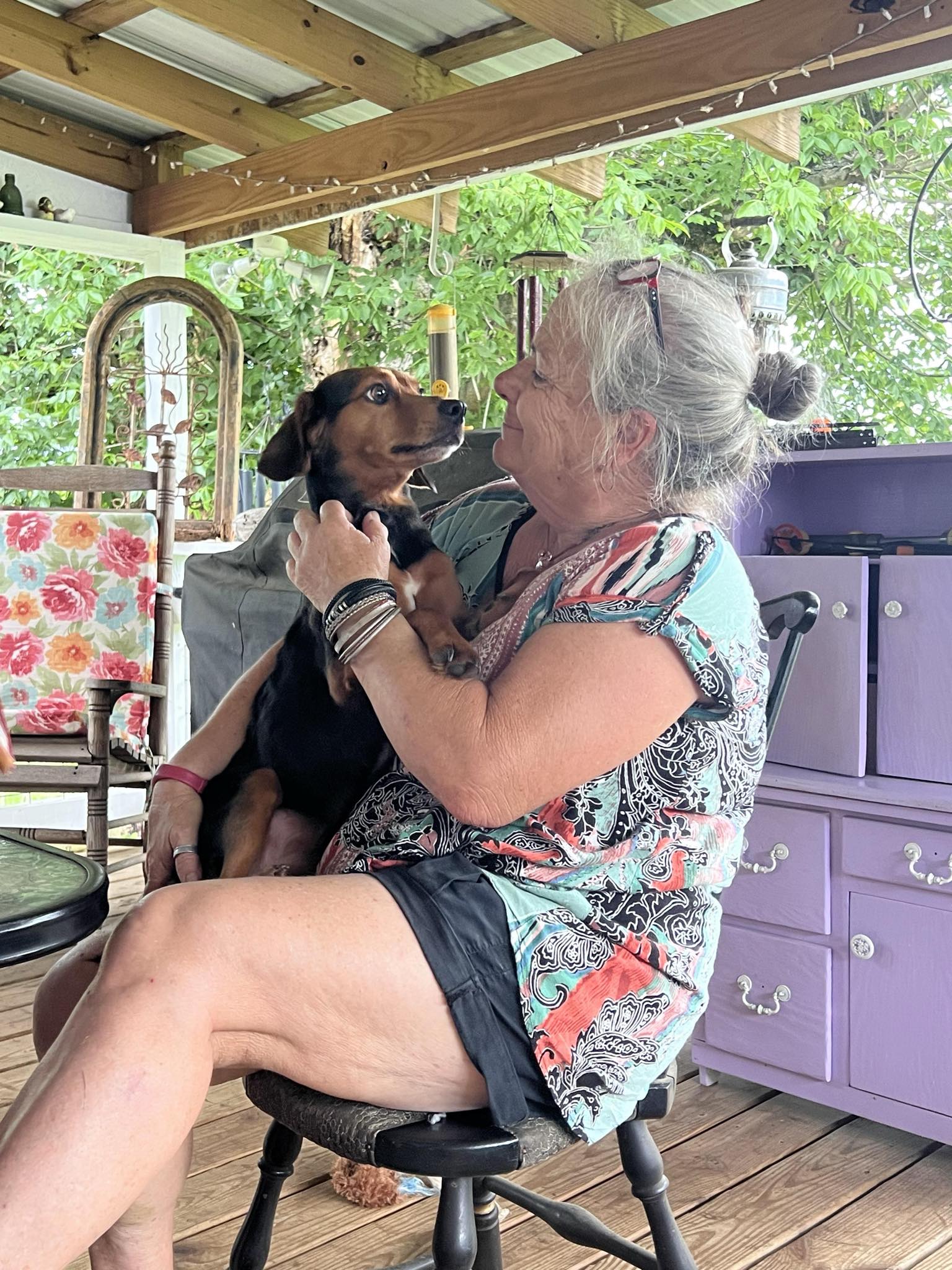 Photo contributed by The Senior Scenter Jeanne Strack founded Puppies Under Protection in 1993 and opened The Senior Scenter in 2014. She has always been an animal lover and remembers rescuing caterpillars at four years old.