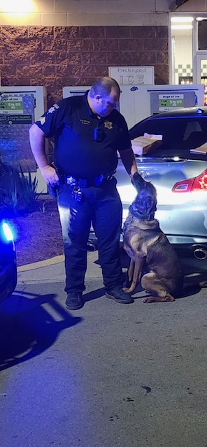 Photo property of the Clay County Office of the Sheriff Investigator  Steven Smith holds the attention of Luca, a Belgian Malinois that assists the Detective Division of the Clay County Office of the Sheriff.