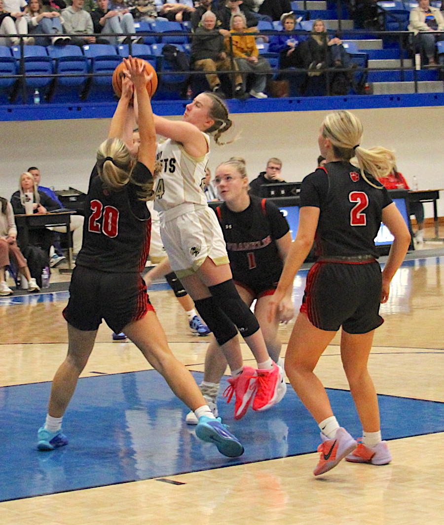 Neal Wachob • Clay County Progress Caroline Wade, No. 24, lofts a jump shot for two Hayesville points against Polk County in the Battle of States holiday basketball tournament.