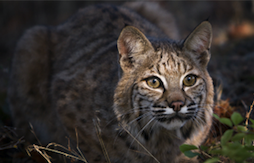 Image removed.