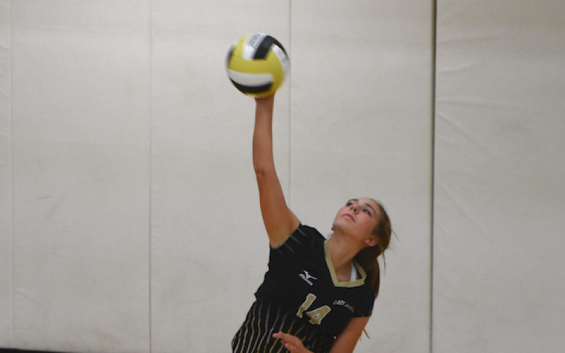 Travis Dockery • Clay County Progress  // Lily Trout unloads on a serve against Murphy.