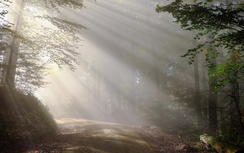 Image by Diese lizenzfreien Fotos darfst du zwar verwenden from Pixabay