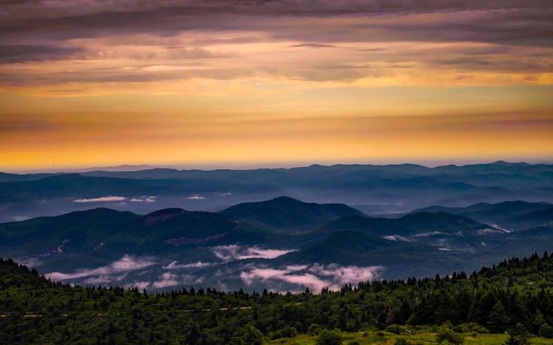 Image by David Mark from Pixabay