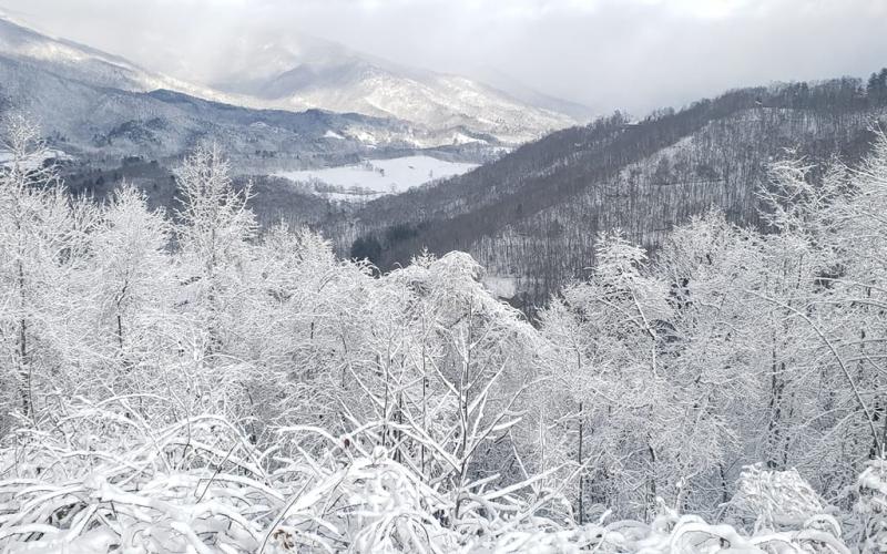 (Tim and Freda Carney • Clay County Progress) This chilled view from Shiloh Overlook looks more like a picture from Alaska than western North Carolina.