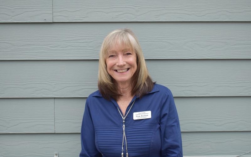 Clay County Chamber of Commerce Executive Director Pam Roman will be honored during a reception Tuesday, June 15.