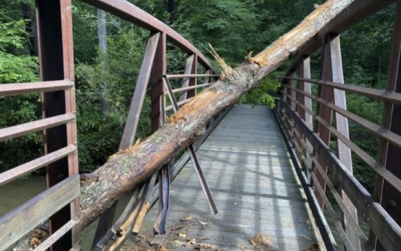 Log lodged on Art Loeb/Joel Branch access bridge