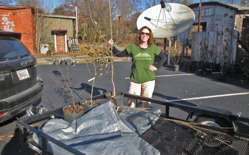 Hiwassee  Watershed Advisory Council and MountainTrue board member, Katherine Taaffe, pauses for a photo with her order of native trees at a previous pickup event.