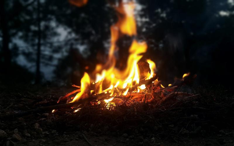Image by sagar pradhan from Pixabay