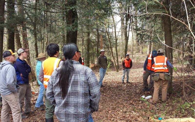 Photo courtesy of Hemlock Restoration Initiative Participants at a hemlock treatment demonstration look on as HRI employees teach how to chemically treat a hemlock.