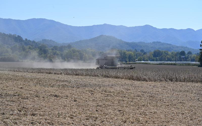 Ed Wood harvest soybeans on the farm that has been in his family since the early 1900s. (Credit: Eric Haggart)