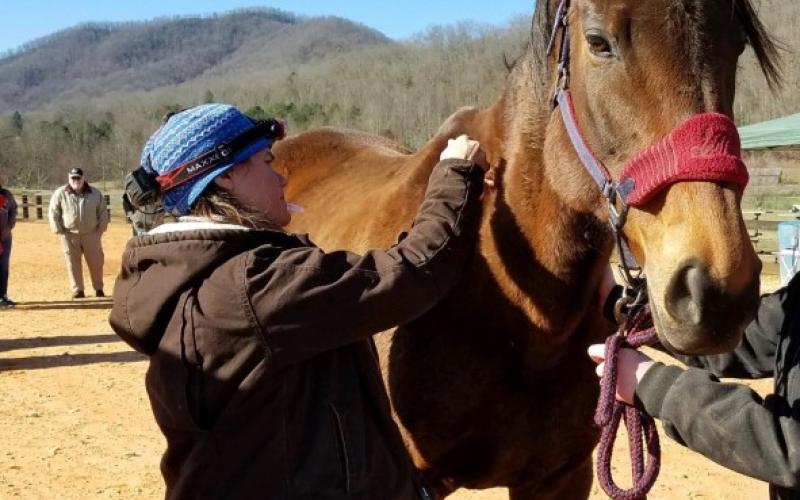 Coggins Clinic is this Saturday