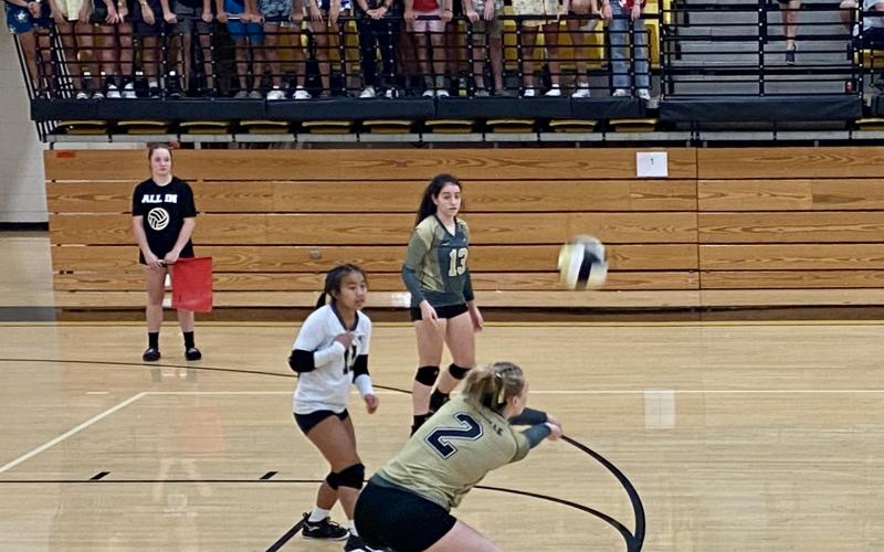Chad Stack • Clay County Progress No. 2 Senior Trinity Frias helping her team with a save.