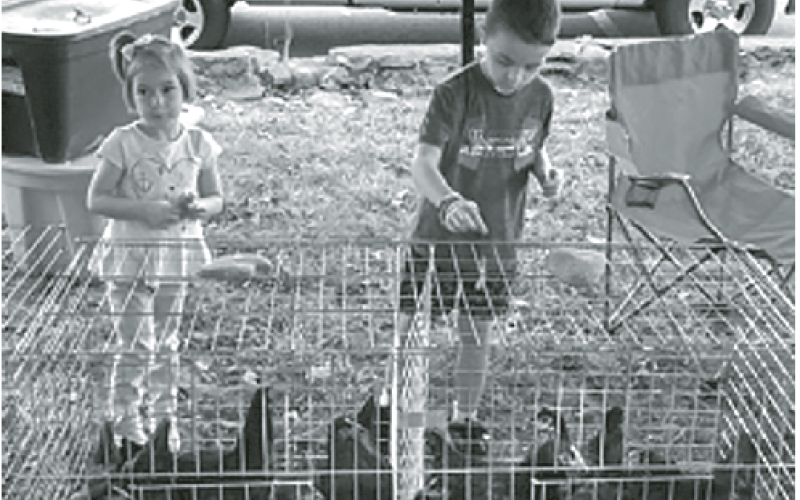 Children enjoying some of the 4-H animals from previous events. There will be several 4-H animals at the upcoming event on Saturday, Sept. 24.