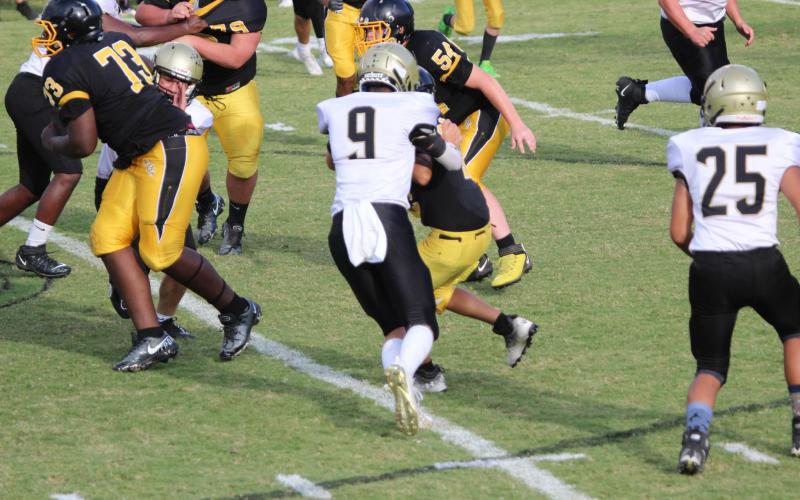 Photo • Kendra Coker Hayesville’s Lance Coker (9) stands up a Bulldog.