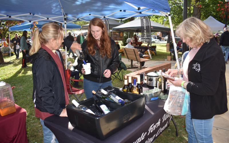 Becky Long • Clay County Progress Deanne Michnick and Bridget Shatkus, of Shooting Creek’s Eagle Fork Vineyards, prepare a warm mulled wine drink for a visitor to Saturday’s event.