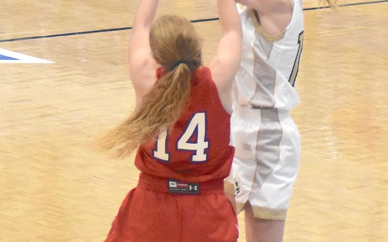 Hayesville's Ava Shook, No. 12, slips a pass through Polk County's zone defense.