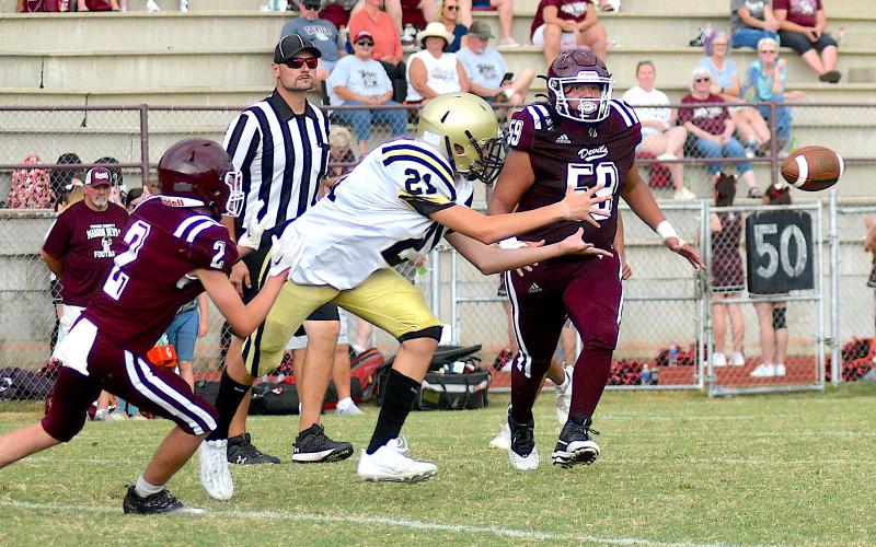 Gary Corsair • Clay County Progress Hayesville's Daemien Soto, No. 21, reaches for a Lance Coker pass.