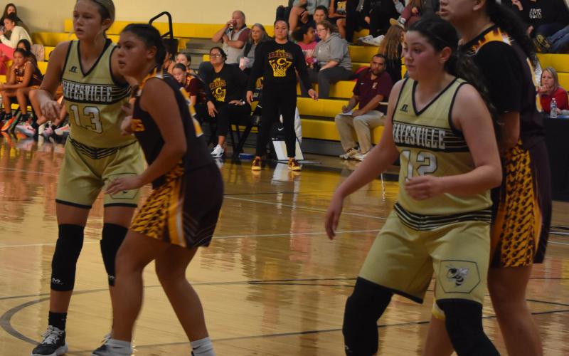 Kara Bauer and Taylyn Young fend off Cherokee players.