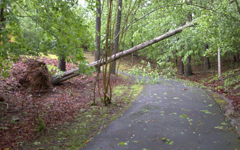 Sam Jokich/Staff Correspondent The thunderstorm that rolled into Cherokee County late on the night of May 8 left behind lots of damages in Peachtree and beyond, including on Shadow Lane in Tar Heel. Cherokee County Emergency Management said the area “experienced significant storm damage overnight.”