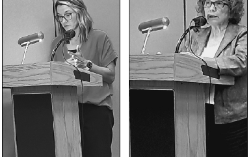 Becky Long • Progress Health Department Director Clarissa Rogers outlines how a $30,000 grant will be used to expand local health services. Sandy Zimmerman, chair of Historic Hayesville Inc., reflects on highlights of the past fiscal year.