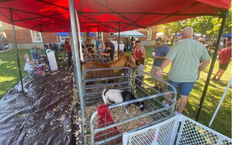 Visitors visit the Clay County 4-H Livestock exhibit to check out all of the hard work the local youth have been doing with their animals.