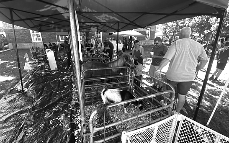 Visitors visit the Clay County 4-H Livestock exhibit to check out all of the hard work the local youth have been doing with their animals.