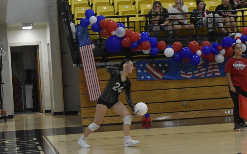 Leeanna Alberta • Clay County Progress Reese Segars, No. 24, with the serve.