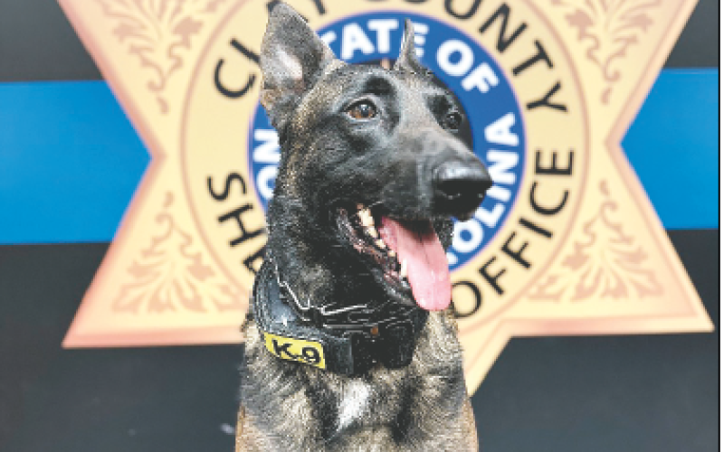 “Luca,” the K-9 officer and handler Sgt. Steven Smith, work as a team. “Luca” has been credited with a number of drug busts and confiscation of narcotics. The sheriff’s office is in need of a second K-9 team and a local group is raising money to help them reach that goal with a fundraiser at Mountain Harbour.