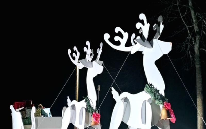 Deby Jo Ferguson • Clay County Progress A beautiful lighted reindeer scene.