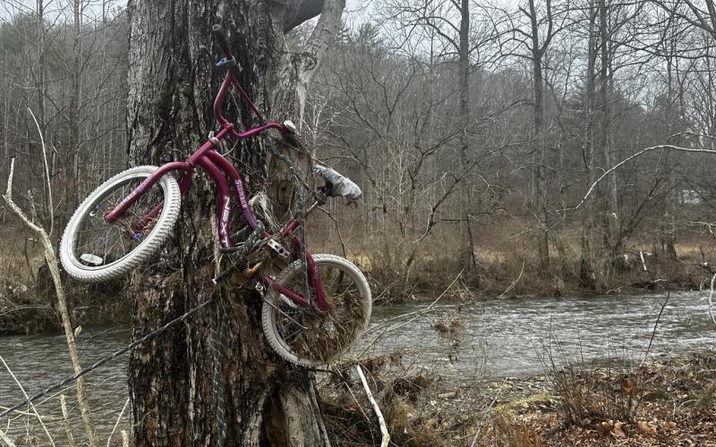 Lorrie Ross • Clay County Progress A girl's bicycle hangs in a tree beside the Doe River, as if a little girl will return for it soon. It came from upriver, possibly miles away.