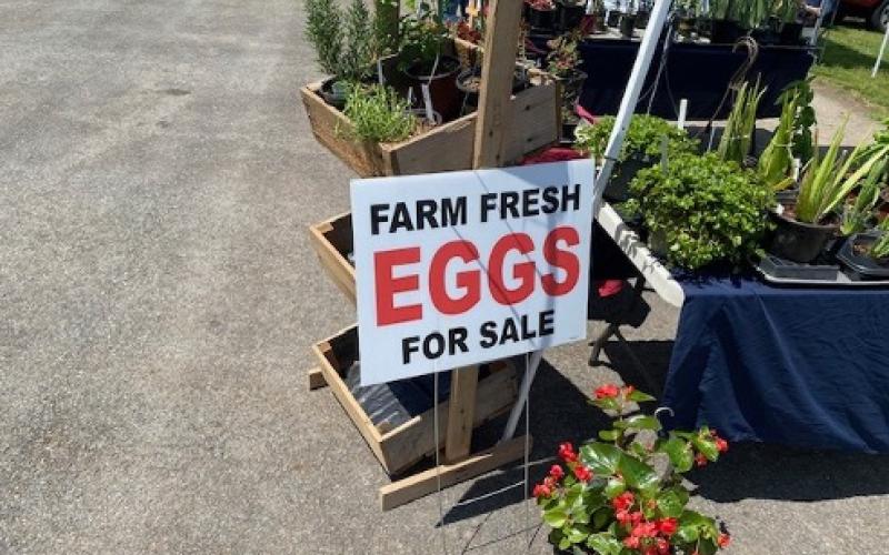 Clay County Farmers Market moves back to the Hayesville square from 9 a.m. to 12 p.m. Thursdays beginning May 8 through Sept. 25.
