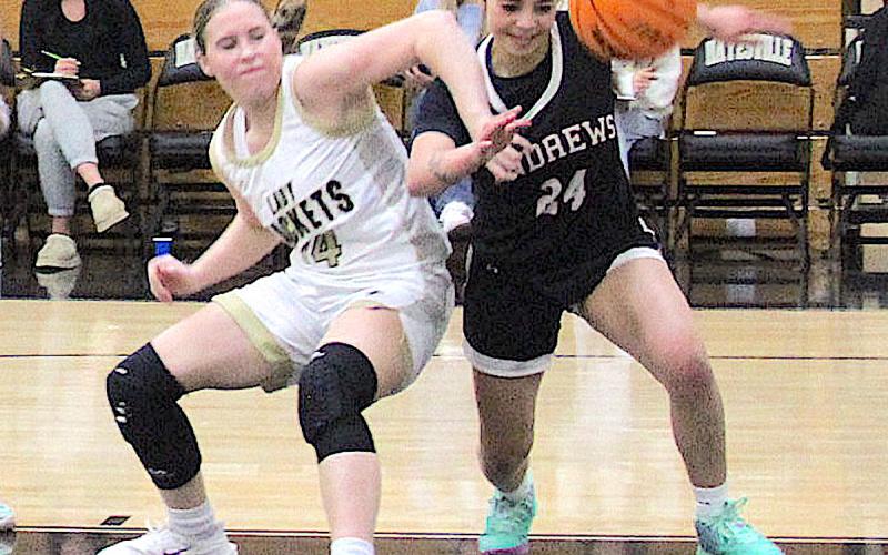 Neal Wacob • Clay County Progress Hayesville's Briley Clampitt, No. 14, boxes out while fighting for a rebound against the Wildcats.