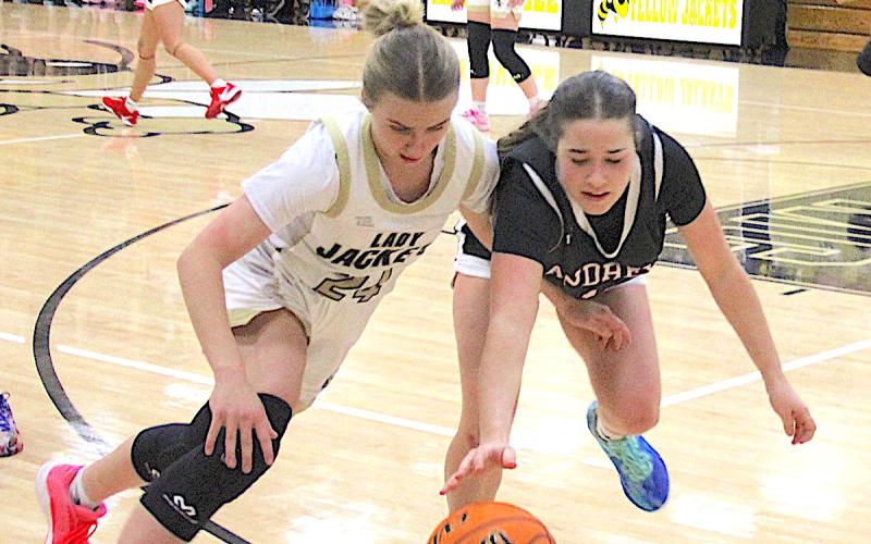 Neal Wacob • Clay County Progress Caroline Wade, No. 24, displays her trademark hustle as she disrupts a Wildcat's dribble and gains possession for Hayesville.