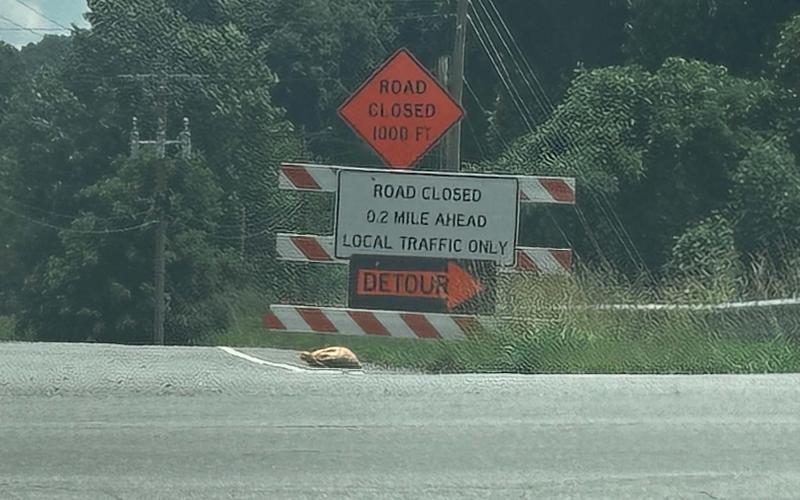 These detour signs greet drivers at the intersection of Myers Chapel Road and Highway 64 East. The bridge under construction is at that end of the Myers Chapel Road, within sight of the highway. It should be completed in October.