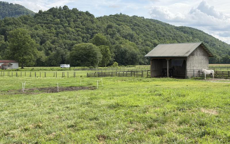 Pasture where the two horses were struck by lightning. The horses were buried next to the barn.