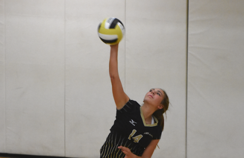 Travis Dockery • Clay County Progress  // Lily Trout unloads on a serve against Murphy. 