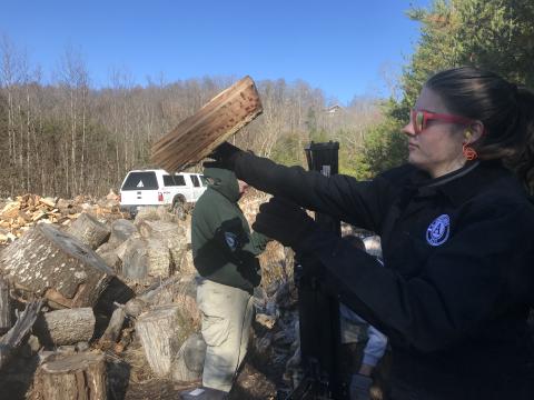 (AmeriCorps River 2 team • Photo submitted) AmeriCorps teammember Avery Scully throws wood to a pile at Hintons wood lot. The team worked on the wood lot most Wednesdays with the woodchuckers volunteer woodcutters.