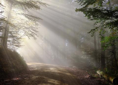Image by Diese lizenzfreien Fotos darfst du zwar verwenden from Pixabay 