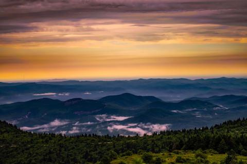 Image by David Mark from Pixabay 
