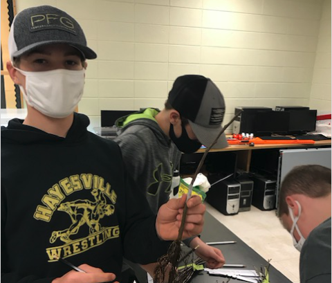 Students, from left, Adam Cook, Tyler Fuller and Caleb Dingman in Silas Brown's middle school agriculture class are learning how to graft fruit trees.