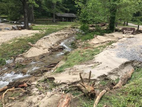 Photo from USFS