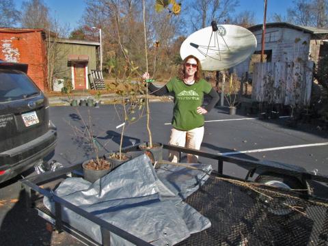 Hiwassee  Watershed Advisory Council and MountainTrue board member, Katherine Taaffe, pauses for a photo with her order of native trees at a previous pickup event.