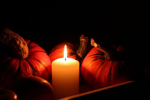 Image by Lolame from Pixabay 