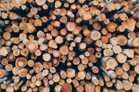 Image by Pexels from Pixabay 