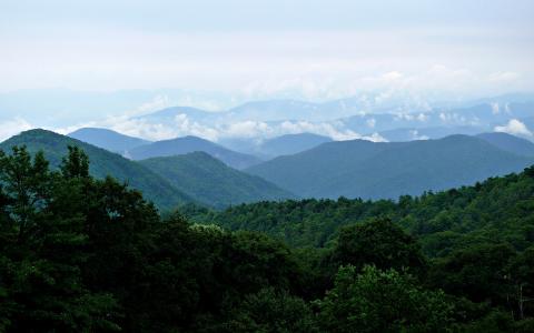 Image from Pixabay
