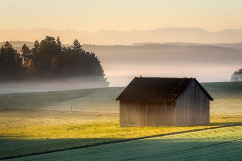 Image from Pixabay