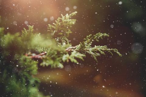 Image from Pixabay