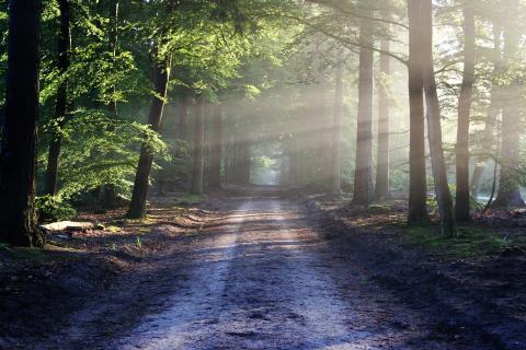 Pixabay Image